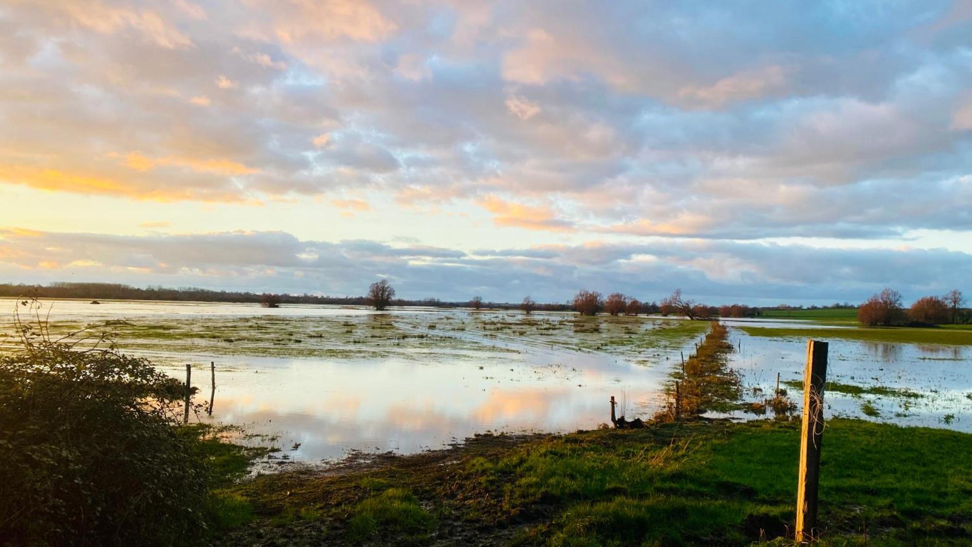 Chambre De Rose - Le Refuge Des Parachutistes - En Bordure Du Marais Neuville-au-Plain Zewnętrze zdjęcie