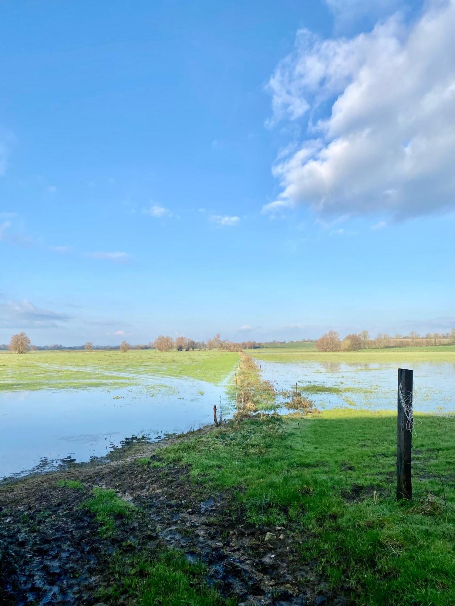 Chambre De Rose - Le Refuge Des Parachutistes - En Bordure Du Marais Neuville-au-Plain Zewnętrze zdjęcie